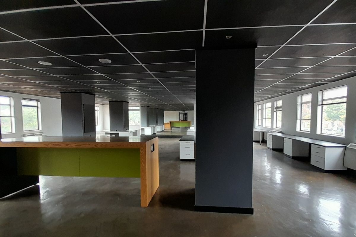 Clean Lines Natural Light and a First Floor 214m Office Edge - Photo 5