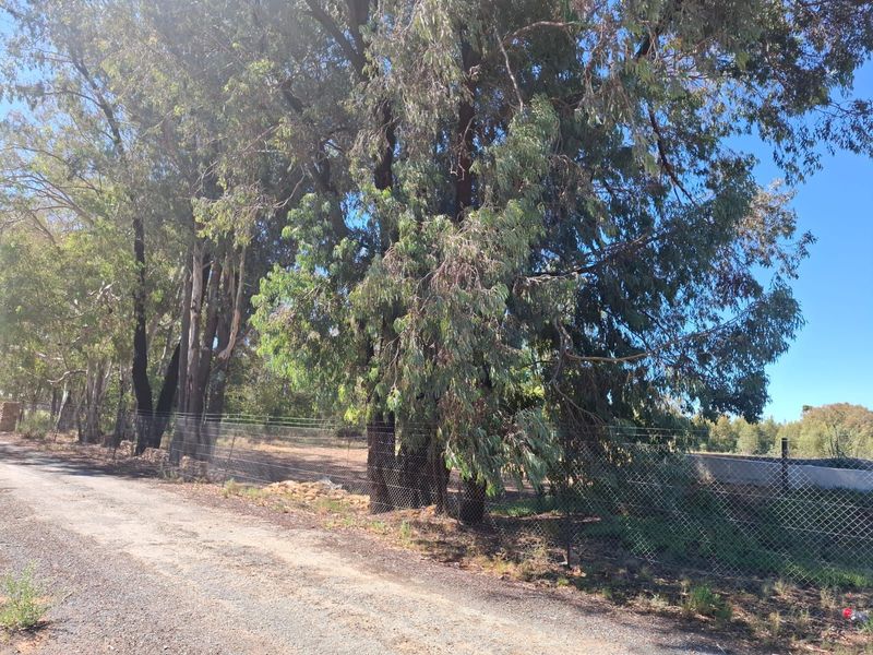 Karoo Farming Opportunity – Spacious Land in TouwsRiver. - Photo 4