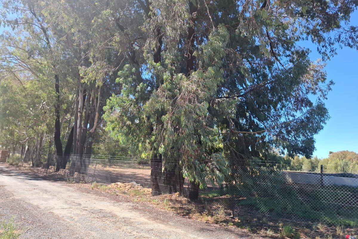 Karoo Farming Opportunity – Spacious Land in TouwsRiver. - Photo 4