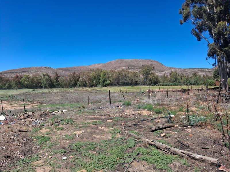 Karoo Farming Opportunity – Spacious Land in TouwsRiver. - Photo 5