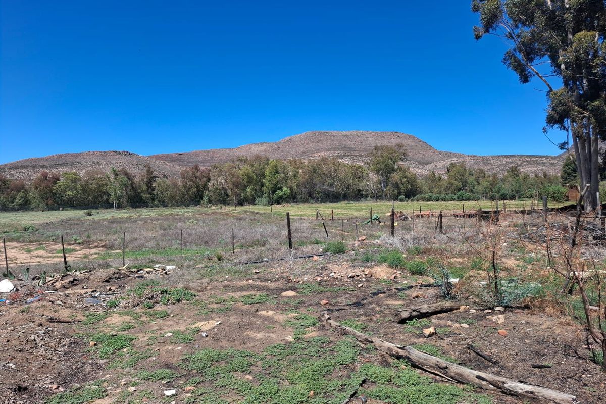Karoo Farming Opportunity – Spacious Land in TouwsRiver. - Photo 5