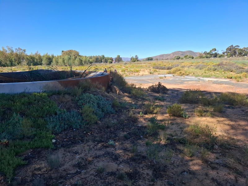 Karoo Farming Opportunity – Spacious Land in TouwsRiver. - Photo 9