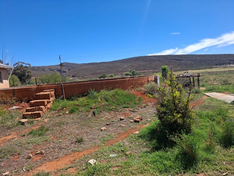 Karoo Farming Opportunity – Spacious Land in TouwsRiver. - Photo 8