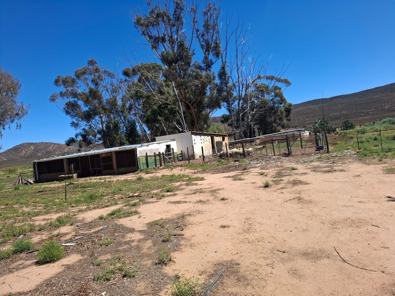 Karoo Farming Opportunity – Spacious Land in TouwsRiver. - Photo 7