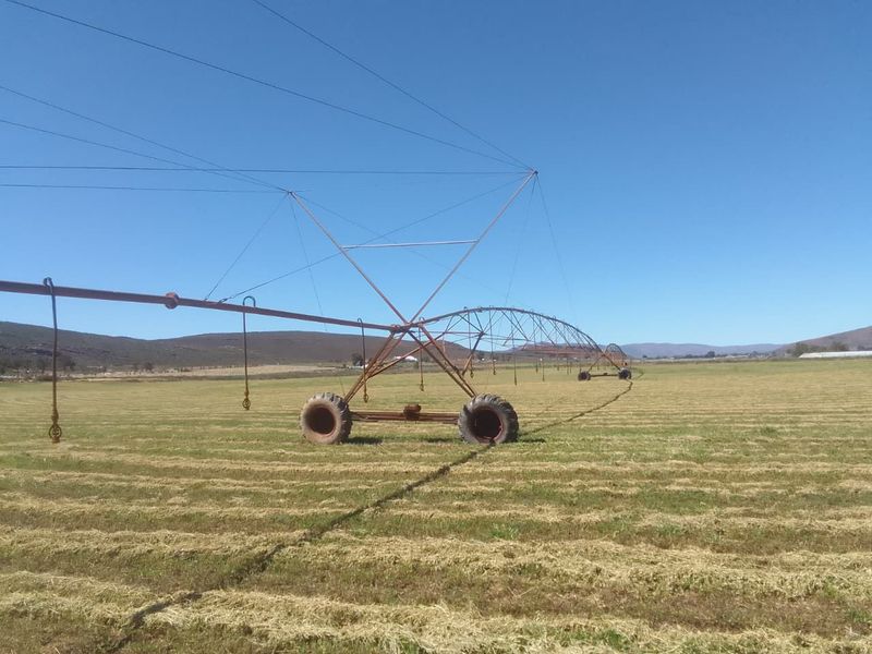 Karoo Farming Opportunity – Spacious Land in TouwsRiver. - Photo 10