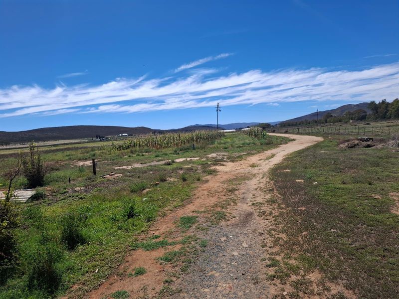 Karoo Farming Opportunity – Spacious Land in TouwsRiver. - Photo 3