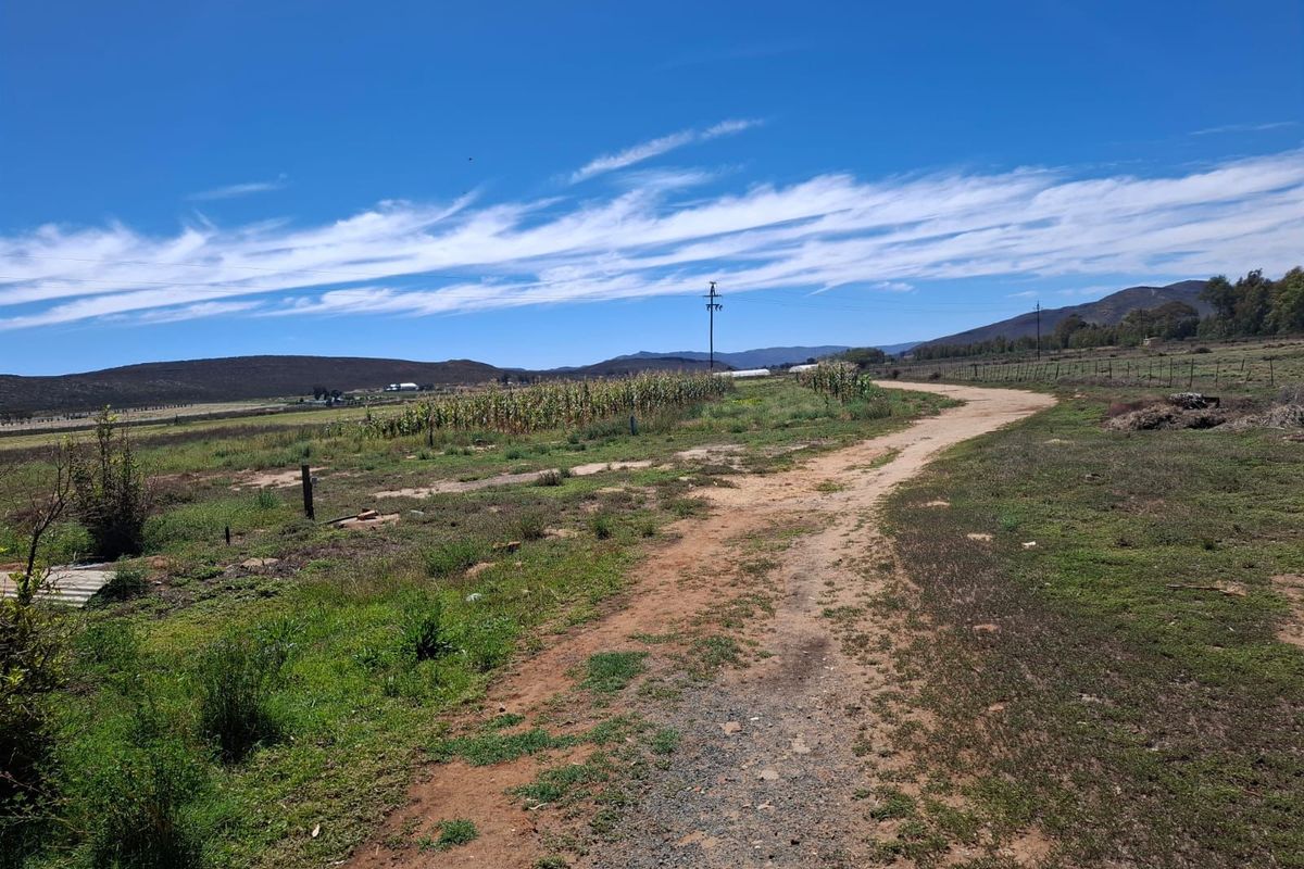 Karoo Farming Opportunity – Spacious Land in TouwsRiver. - Photo 3
