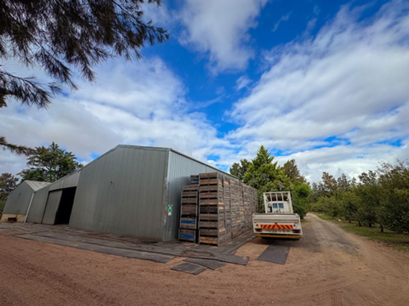 Prime 34Ha Fruit Farm for Sale in the Witzenberg Valley – Established Orchards & Water Rights - Photo 4