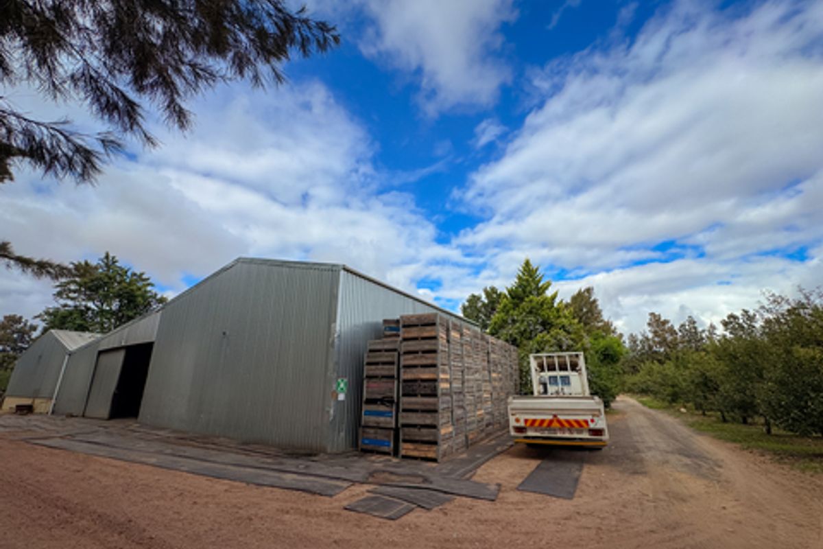 Prime 34Ha Fruit Farm for Sale in the Witzenberg Valley – Established Orchards & Water Rights - Photo 4