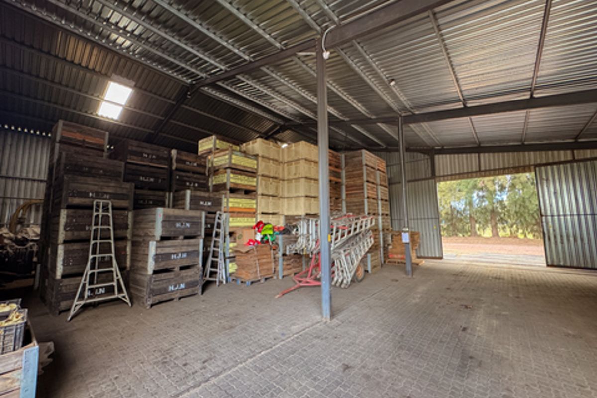 Prime 34Ha Fruit Farm for Sale in the Witzenberg Valley – Established Orchards & Water Rights - Photo 2