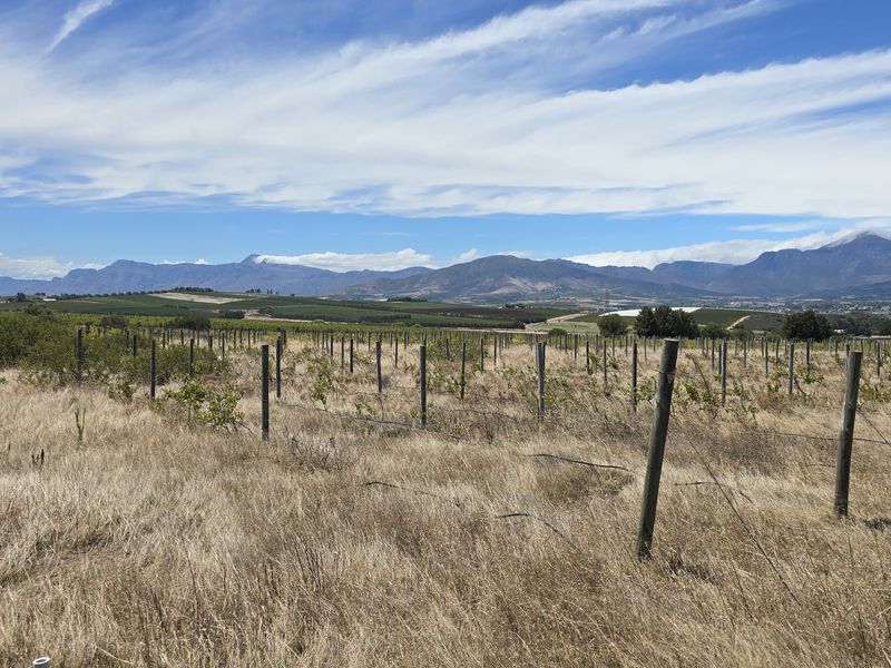 Vacant farm land for sale in Paarl - Photo 7