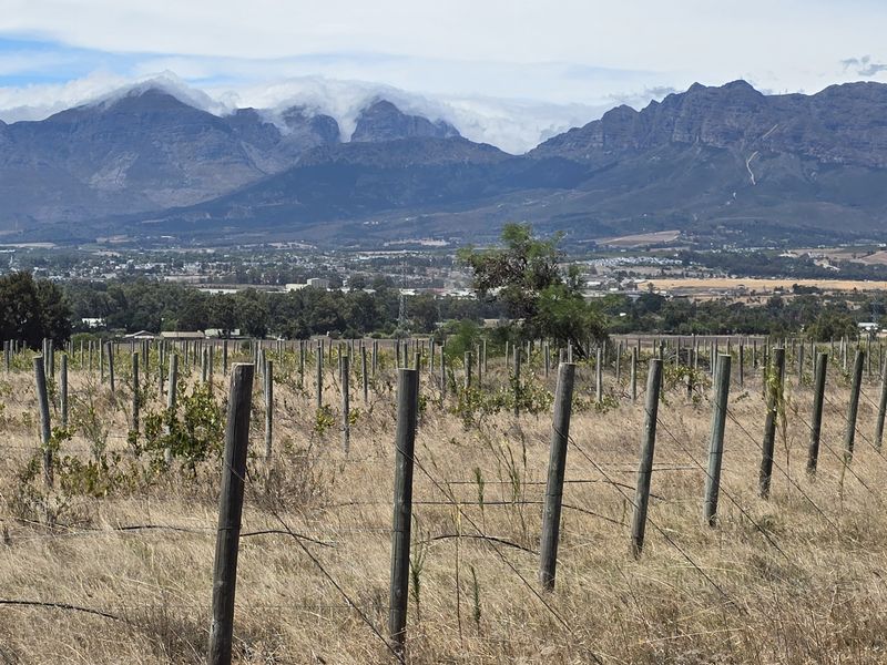 Vacant farm land for sale in Paarl - Photo 4