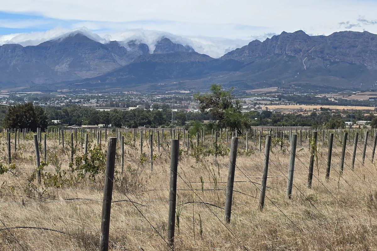 Vacant farm land for sale in Paarl - Photo 4