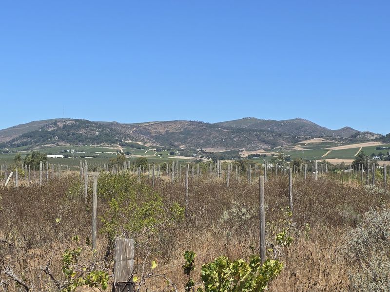 Vacant farm land for sale in Paarl - Photo 5