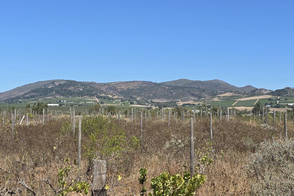 Vacant farm land for sale in Paarl - Photo 5