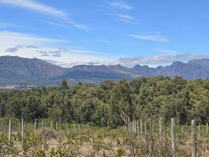 Vacant farm land for sale in Paarl - Photo 10
