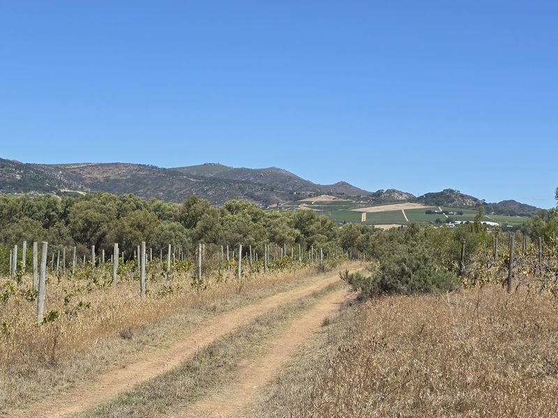Vacant farm land for sale in Paarl - Photo 9