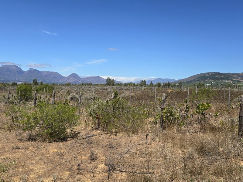 Vacant farm land for sale in Paarl - Photo 8