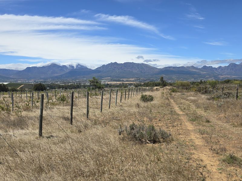 Vacant farm land for sale in Paarl - Photo 6
