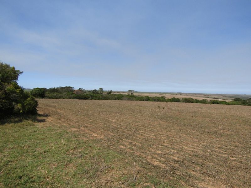 A wide-angle view of open, undeveloped farmland with natural vegetation and clear horizon lines.