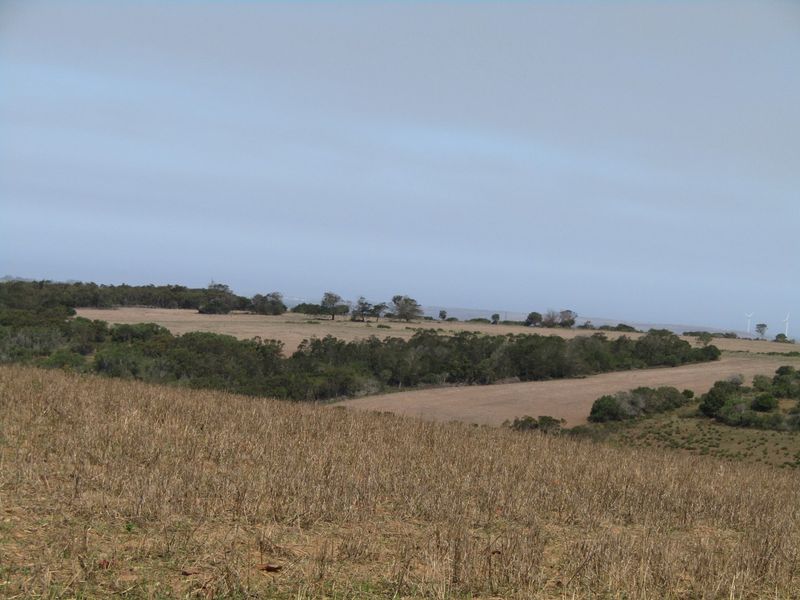 A wide-angle view of the expansive farm landscape, featuring rolling fields, natural vegetation, and open terrain under a clear sky.