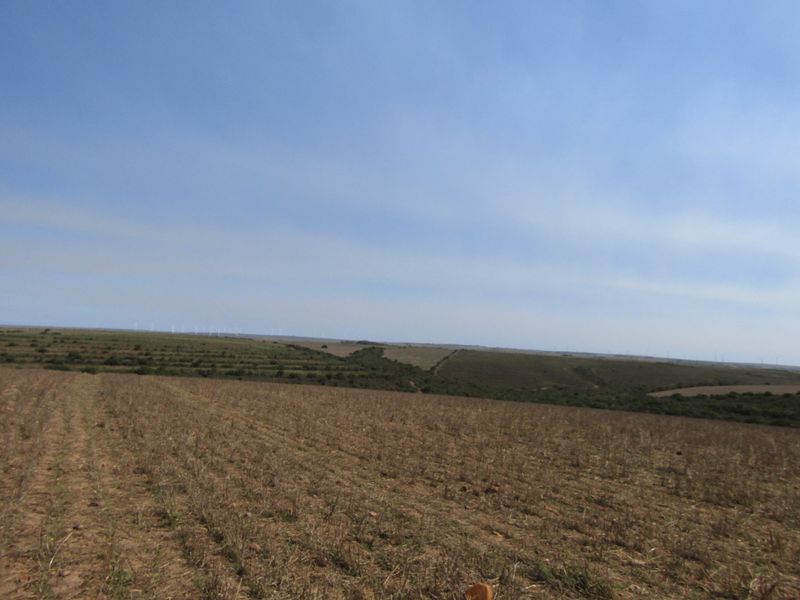 A wide-angle view of expansive, open farmland with rolling hills under a clear sky.