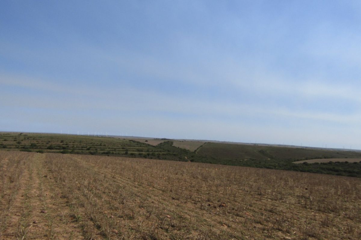 A wide-angle view of expansive, open farmland with rolling hills under a clear sky.