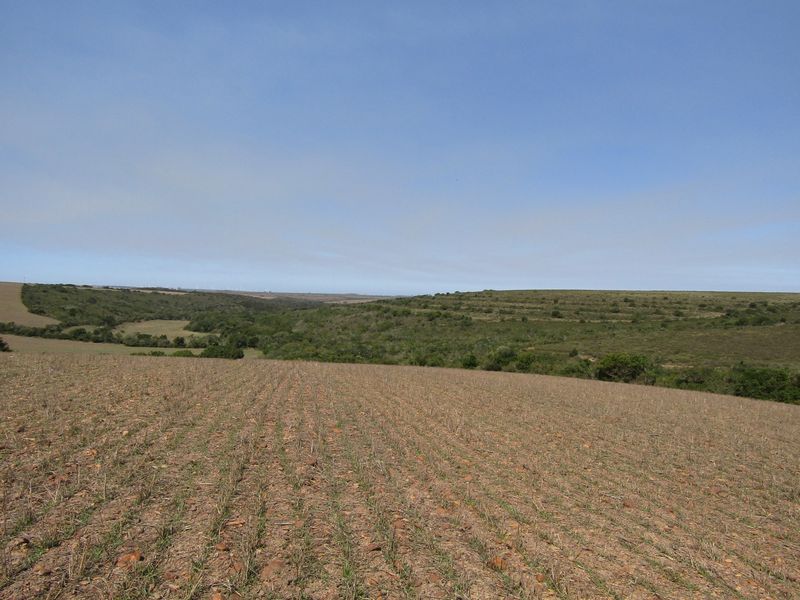 A wide-angle view of the expansive farm landscape, featuring cultivated fields and rolling hills under a clear sky.