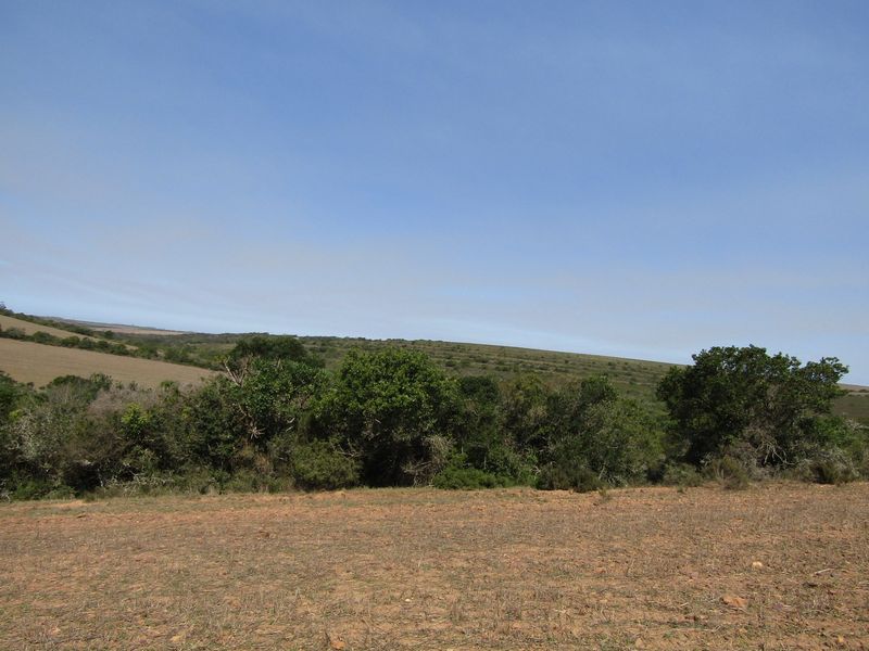 A wide-angle view of the expansive farm landscape featuring natural vegetation and rolling hills under a clear blue sky.