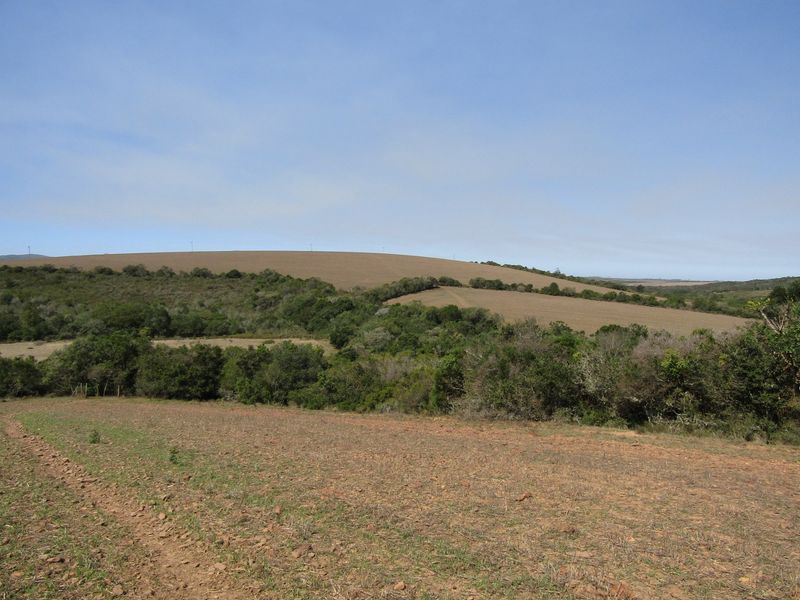 A scenic view of the expansive farm landscape featuring rolling hills, natural vegetation, and open fields.