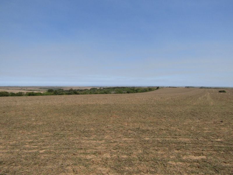 A wide-angle view of the expansive, open farmland landscape under a clear blue sky.