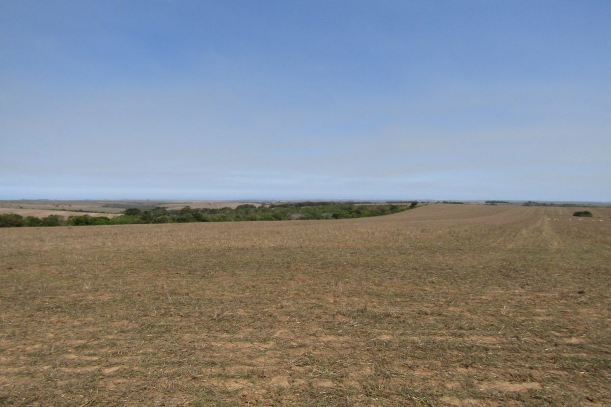 A wide-angle view of the expansive, open farmland landscape under a clear blue sky.