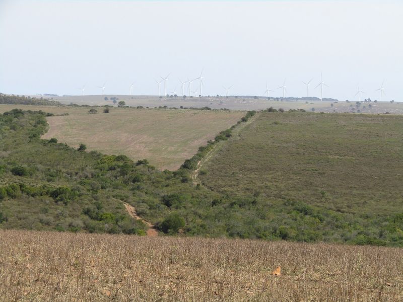 Expansive rural landscape view featuring rolling hills, natural vegetation, and distant wind turbines on the horizon.