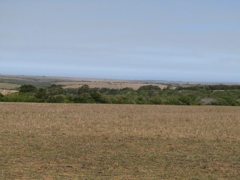Expansive view of open farmland and natural vegetation across the property landscape.