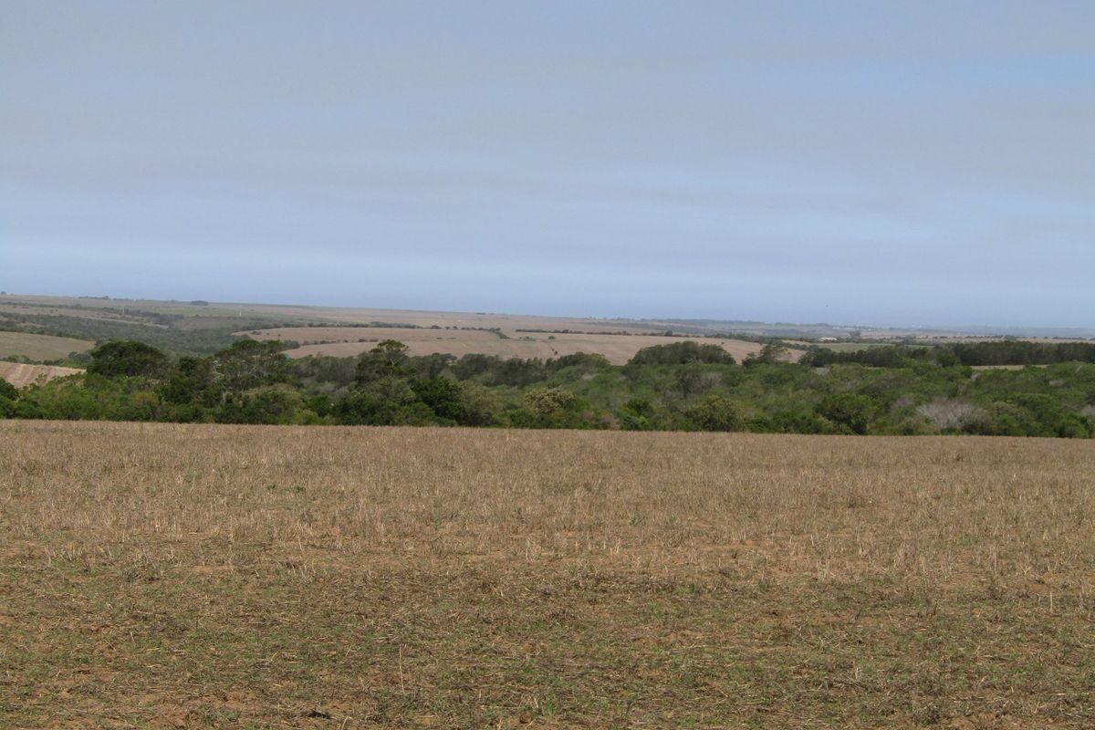 Expansive view of open farmland and natural vegetation across the property landscape.