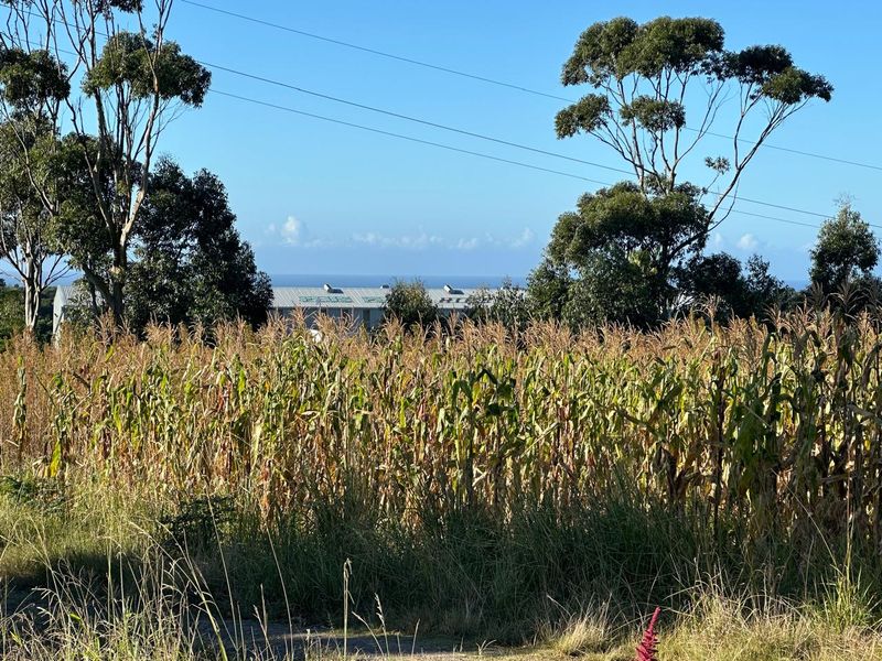 Prime Development Land – 6.216 ha Land - Photo 8