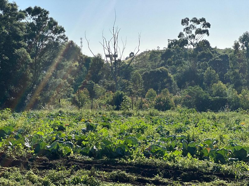 Prime Development Land – 6.216 ha Land - Photo 9