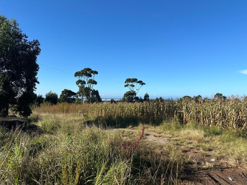 Prime Development Land – 6.216 ha Land - Photo 2