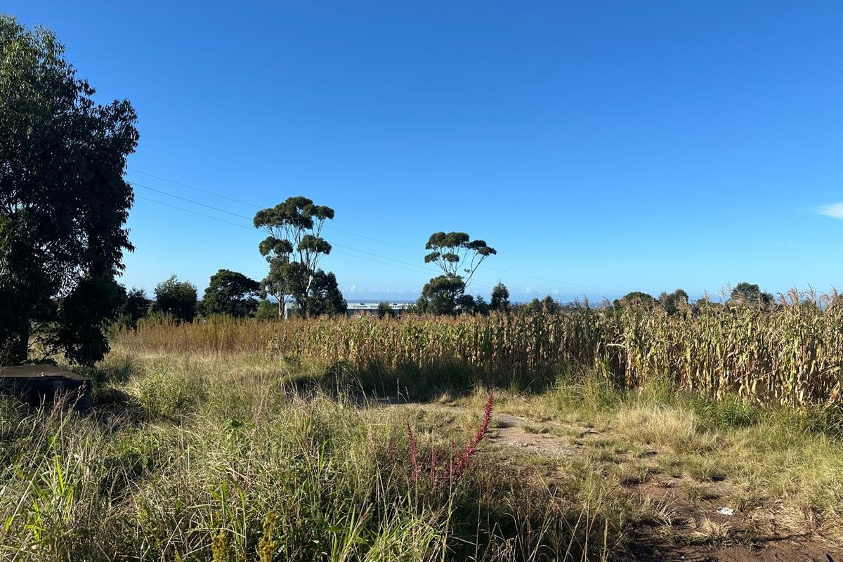 Prime Development Land – 6.216 ha Land - Photo 2