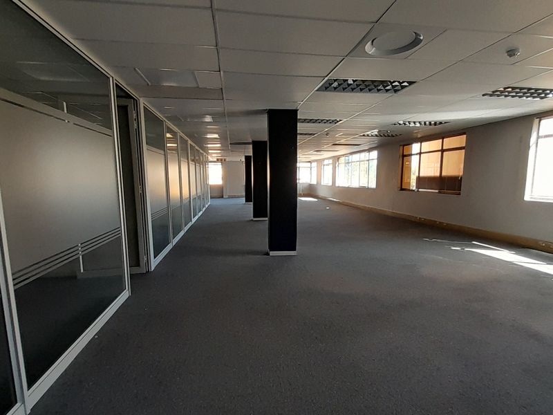 A 507m Ground Floor Office Designed for Scale and Structure - Photo 4
