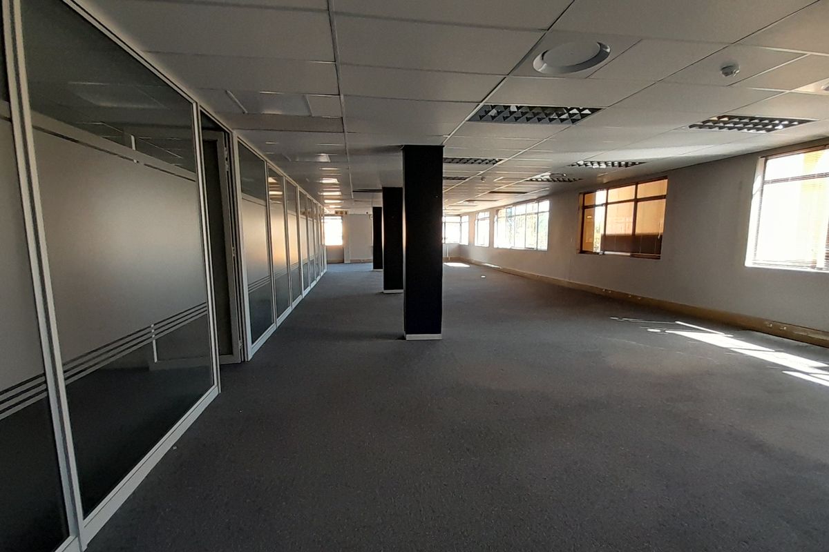 A 507m Ground Floor Office Designed for Scale and Structure - Photo 4