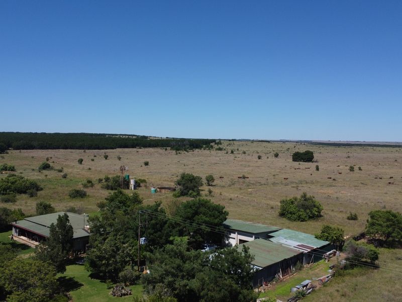 Exceptional 128-Hectare Grazing Farm with Strong Water Infrastructure and Spacious Homestead - Photo 2