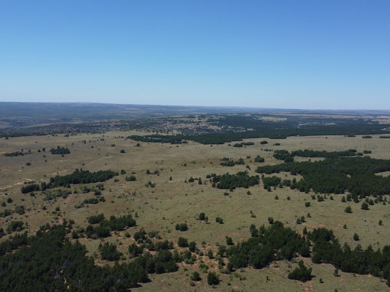 Exceptional 128-Hectare Grazing Farm with Strong Water Infrastructure and Spacious Homestead - Photo 6
