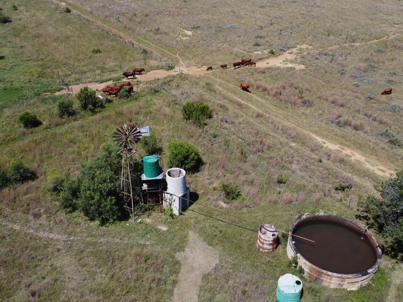 Exceptional 128-Hectare Grazing Farm with Strong Water Infrastructure and Spacious Homestead - Photo 4