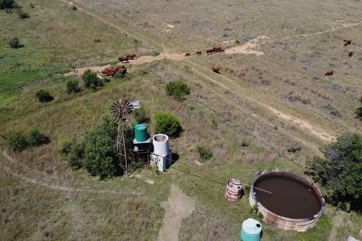 Exceptional 128-Hectare Grazing Farm with Strong Water Infrastructure and Spacious Homestead - Photo 4