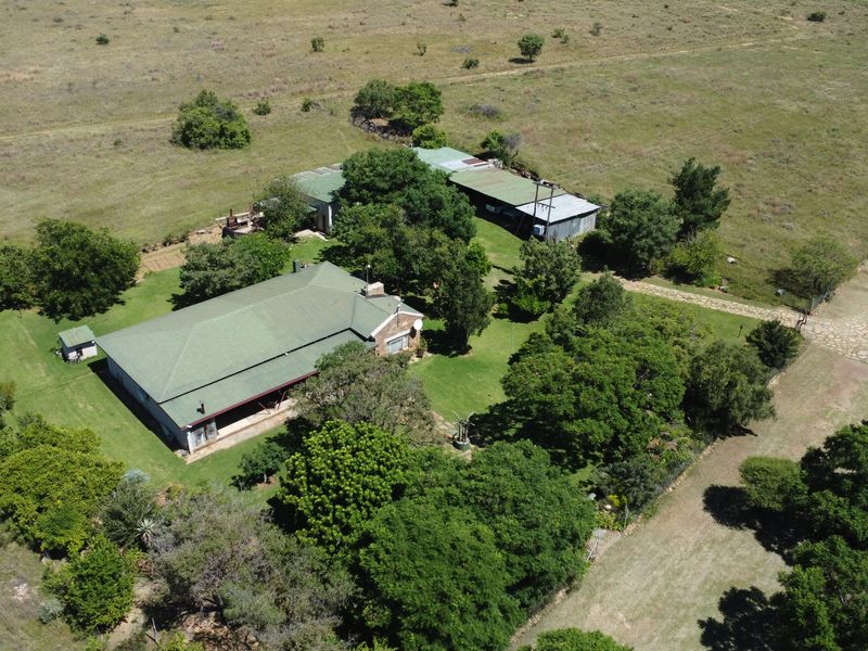 Exceptional 128-Hectare Grazing Farm with Strong Water Infrastructure and Spacious Homestead - Photo 5
