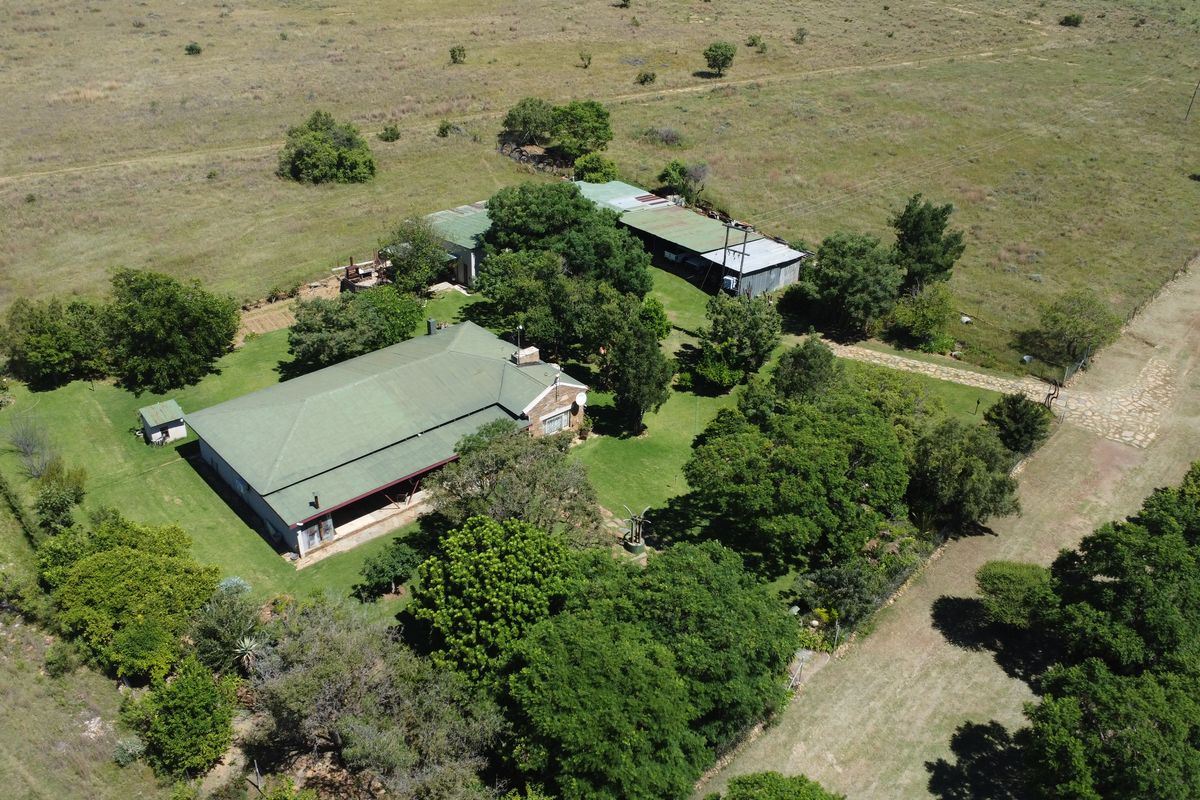 Exceptional 128-Hectare Grazing Farm with Strong Water Infrastructure and Spacious Homestead - Photo 5