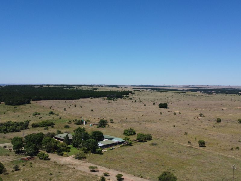 Exceptional 128-Hectare Grazing Farm with Strong Water Infrastructure and Spacious Homestead - Photo 1
