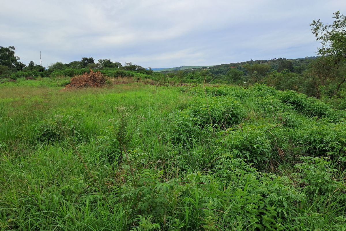 Vacant Land Commercial For Sale In Pietermaritzburg - Photo 5