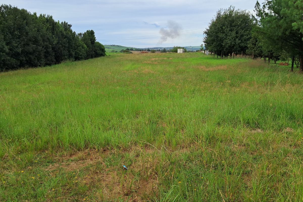 A wide, open expanse of vacant land featuring natural grassland and mature tree borders, offering potential for future commercial development.